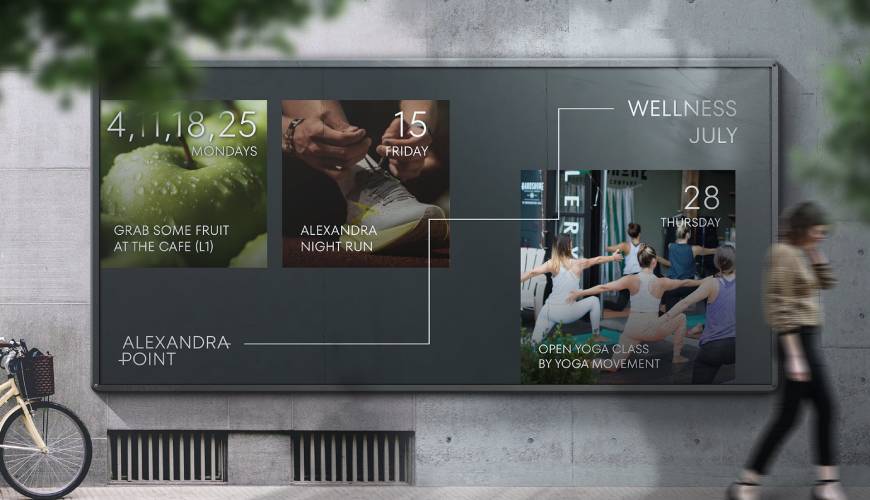 美溪区画册设计公司如何进行品牌审核