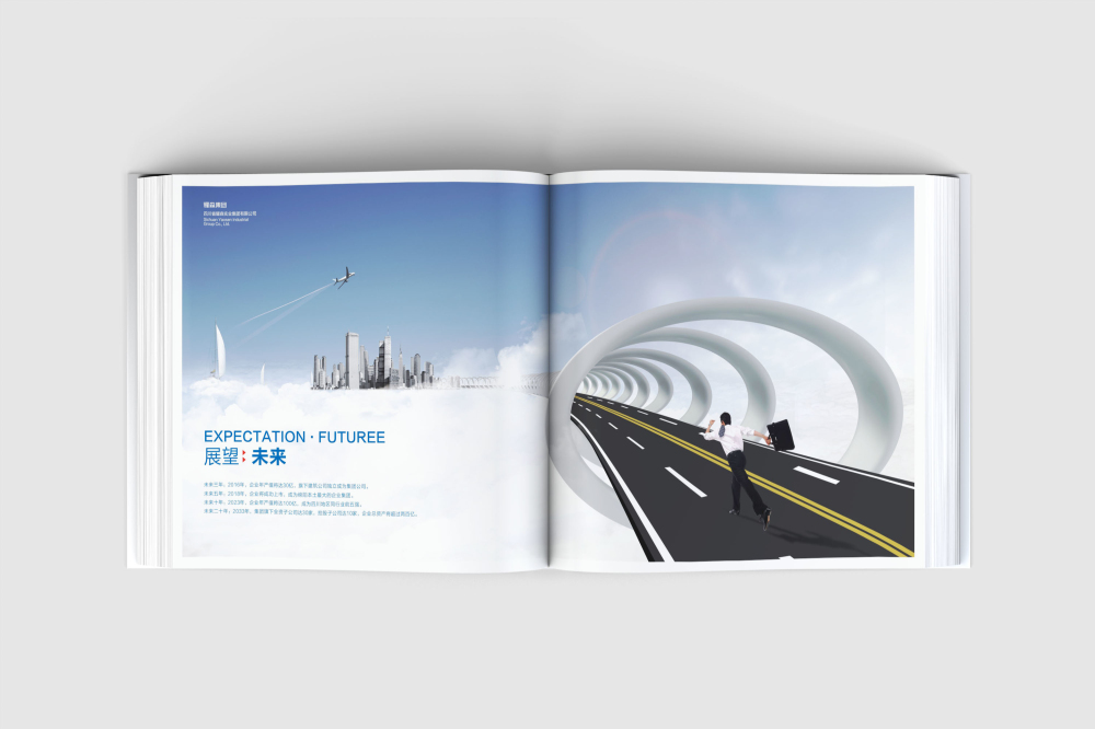 美溪区画册设计